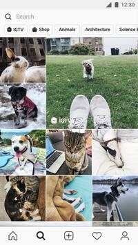 instagram安卓版 V91.0.0