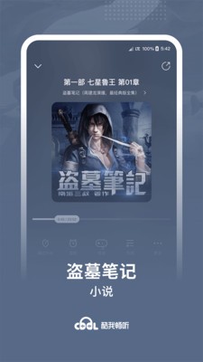 酷我畅听iPhone版 V9.1.1