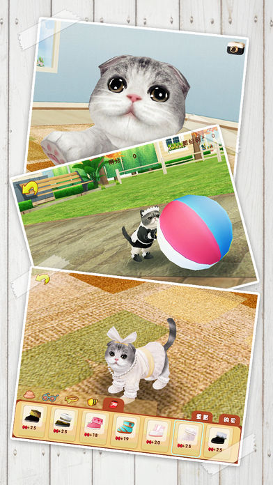 心动小猫安卓版 V1.36.0