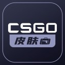 CSGO皮肤宝iPhone版 V1.0