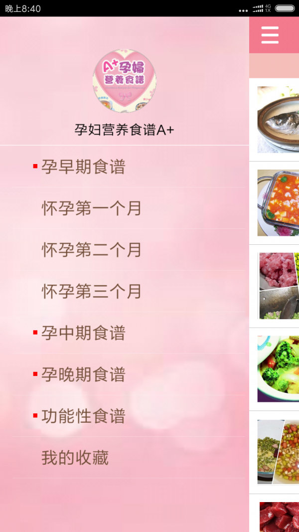 孕妇营养食谱A+安卓版 V1.3.1