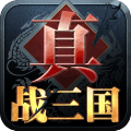 真战三国安卓版 V3.0