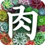 多肉植物安卓版 V3.0