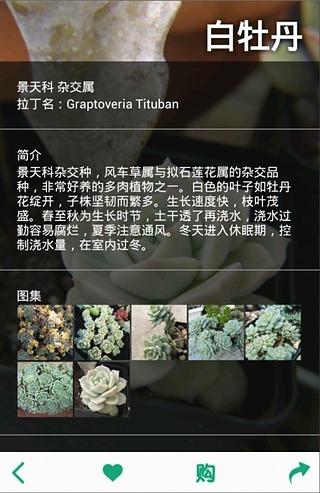 多肉植物安卓版 V3.0