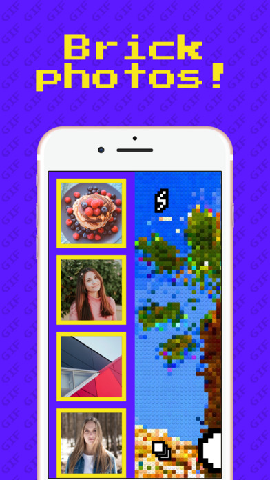 Bricks Camera iPhone版 V1.2