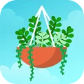 梦幻植物园安卓版 V1.3.2