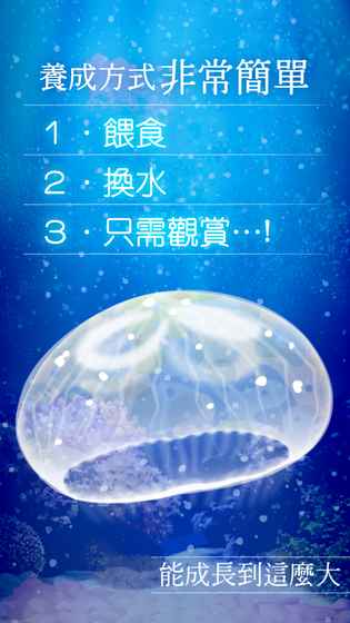 治愈系水母养成iphone版 V1.0