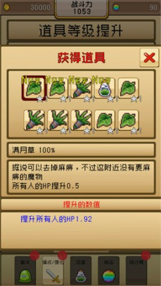 勇者VS恶龙安卓破解版 V1.2.8