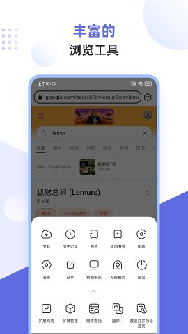 Lemur Browser浏览器安卓版 V1.3.1