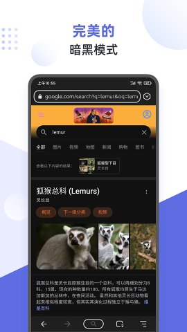 Lemur Browser浏览器安卓版 V1.3.1