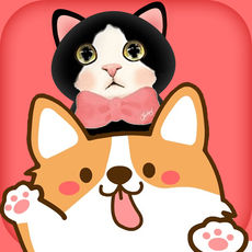 猫狗语翻译器iphone版 V1.2