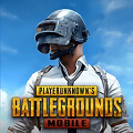 pubg免费下载正版 V0.9.5.29