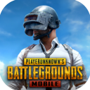 PUBGMOBILE地铁逃生iphone版 V2.9.2