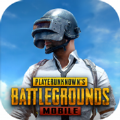 pubg手游国际服正版下载 V3.1.0