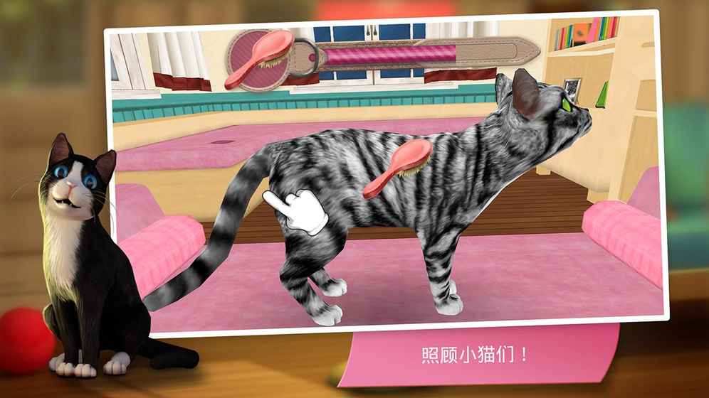 猫咪宾馆iphone百度版 V2.1