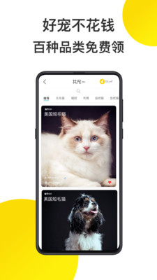共宠安卓版 V1.5.0