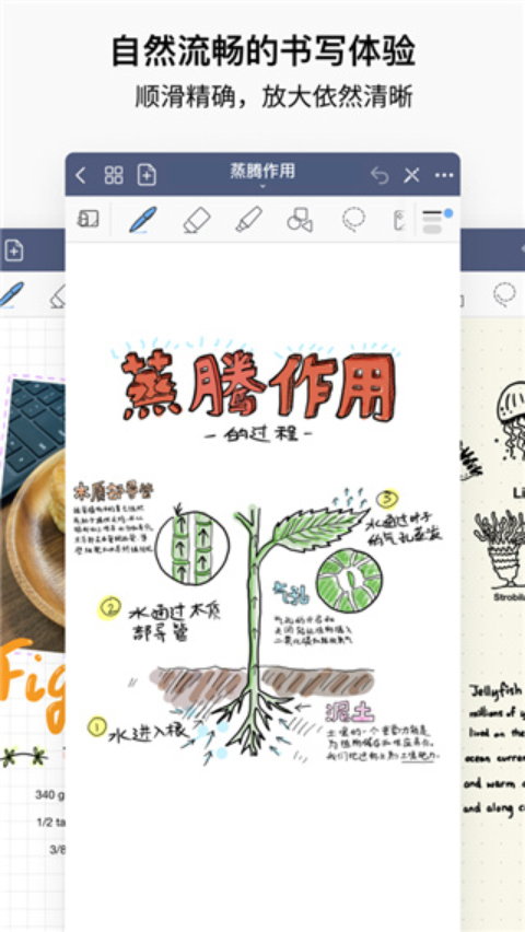 goodnotes iphone版 V6.3.50